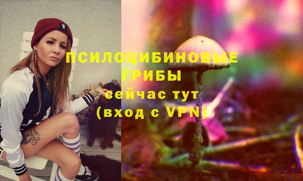spice Волосово
